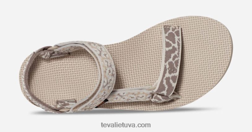 Teva sieviešu oriģināls universāls LP40V6 gemina spalva pelēka