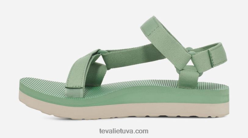 Teva sieviešu vidējas formas universāls LP40V28 baziliks